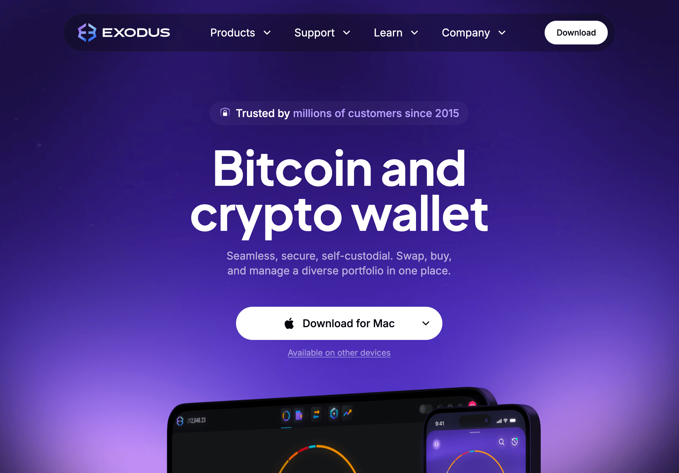 CoinTracking Exodus Wallet