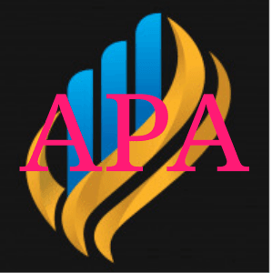 Advanced Pro Accountant