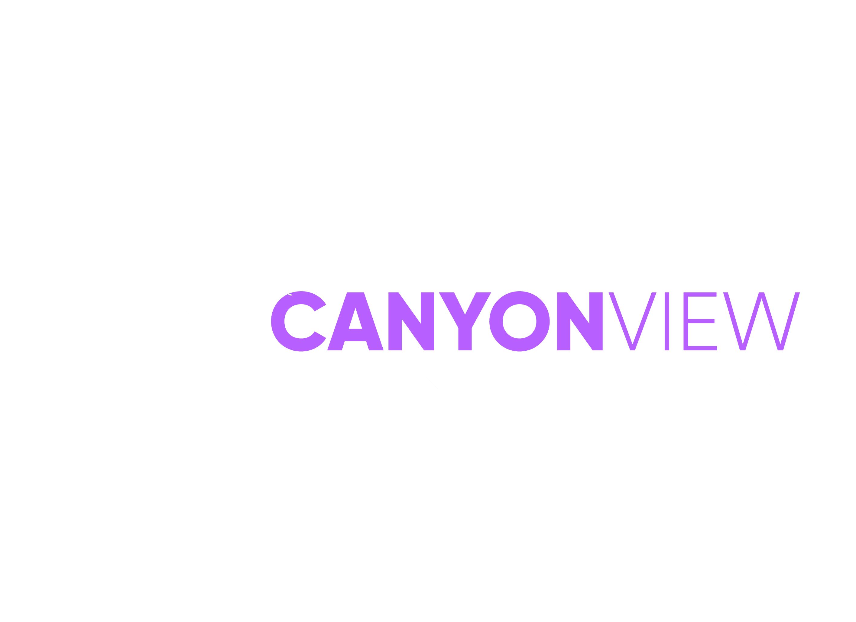 Canyon View Tax and Accounting